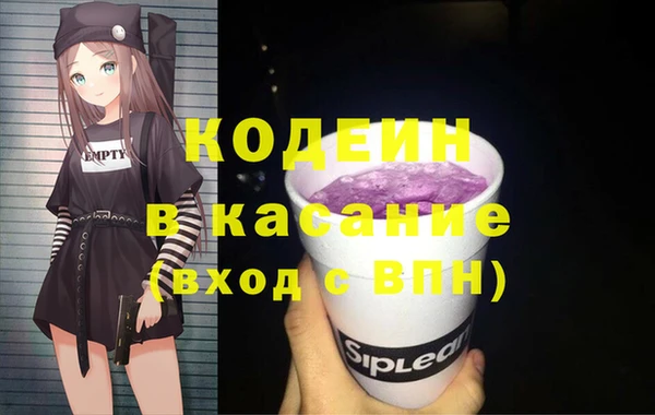 индика Алзамай