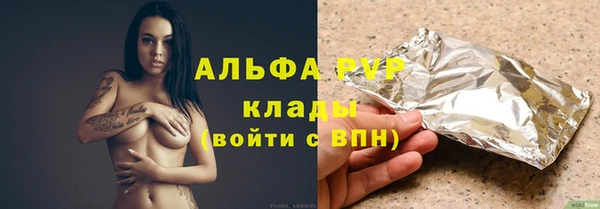соль ск Няндома