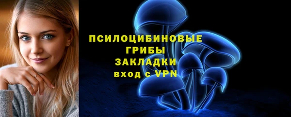 эйфоретик Алексеевка