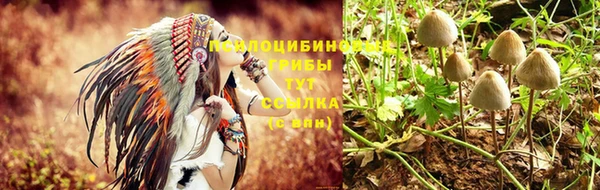 эйфоретик Нязепетровск