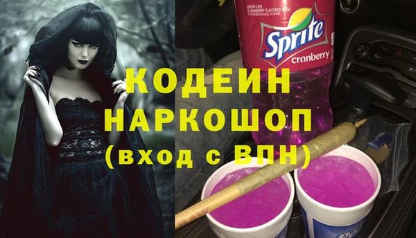 индика Алзамай