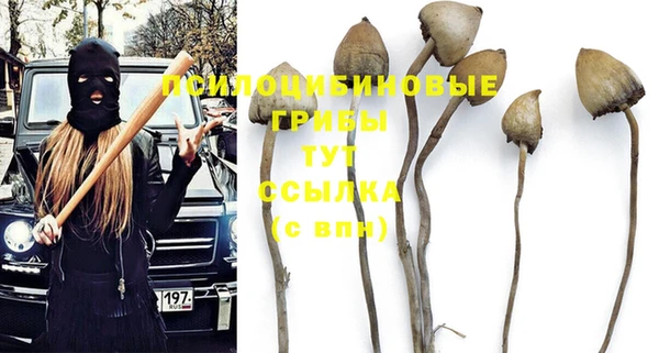 индика Алзамай