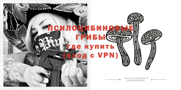 эйфоретик Алексеевка