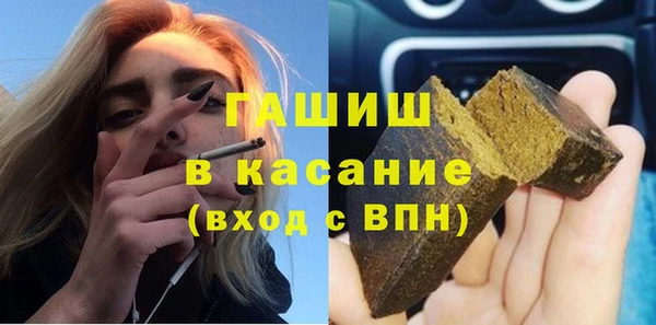 индика Алзамай