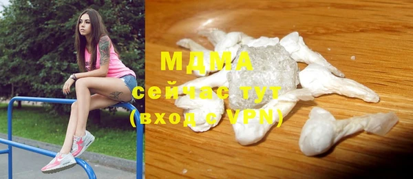 индика Алзамай