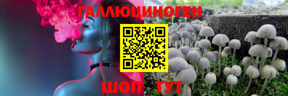 купить наркоту  Вход с VPN  Кострома  Галлюциногенные грибы Magic Shrooms 