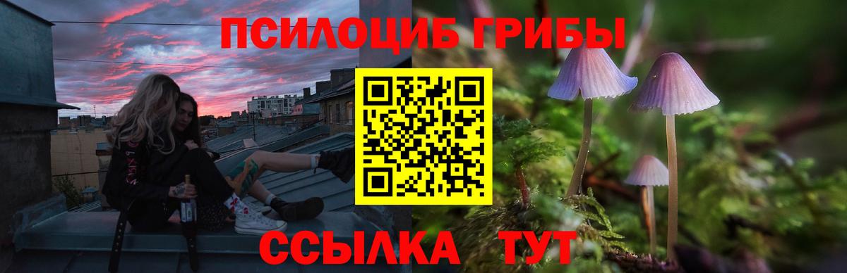 Псилоцибиновые грибы мухоморы Кострома